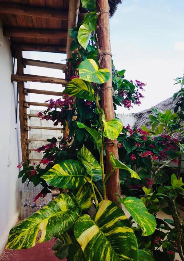 Kilimani House Bed and Breakfast Nungwi Exteriör bild