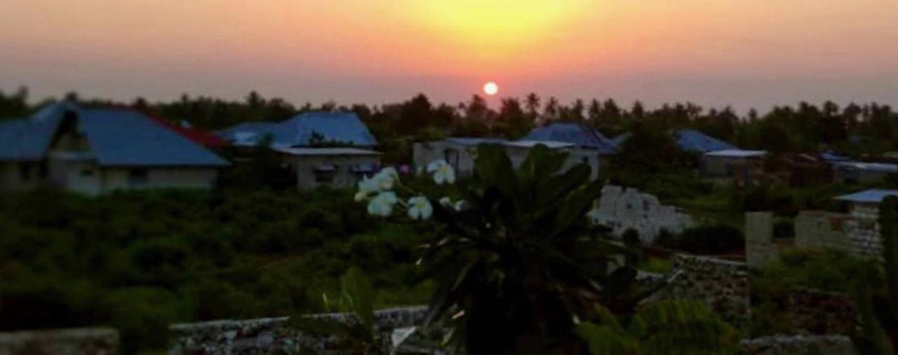 Kilimani House Bed and Breakfast Nungwi Exteriör bild