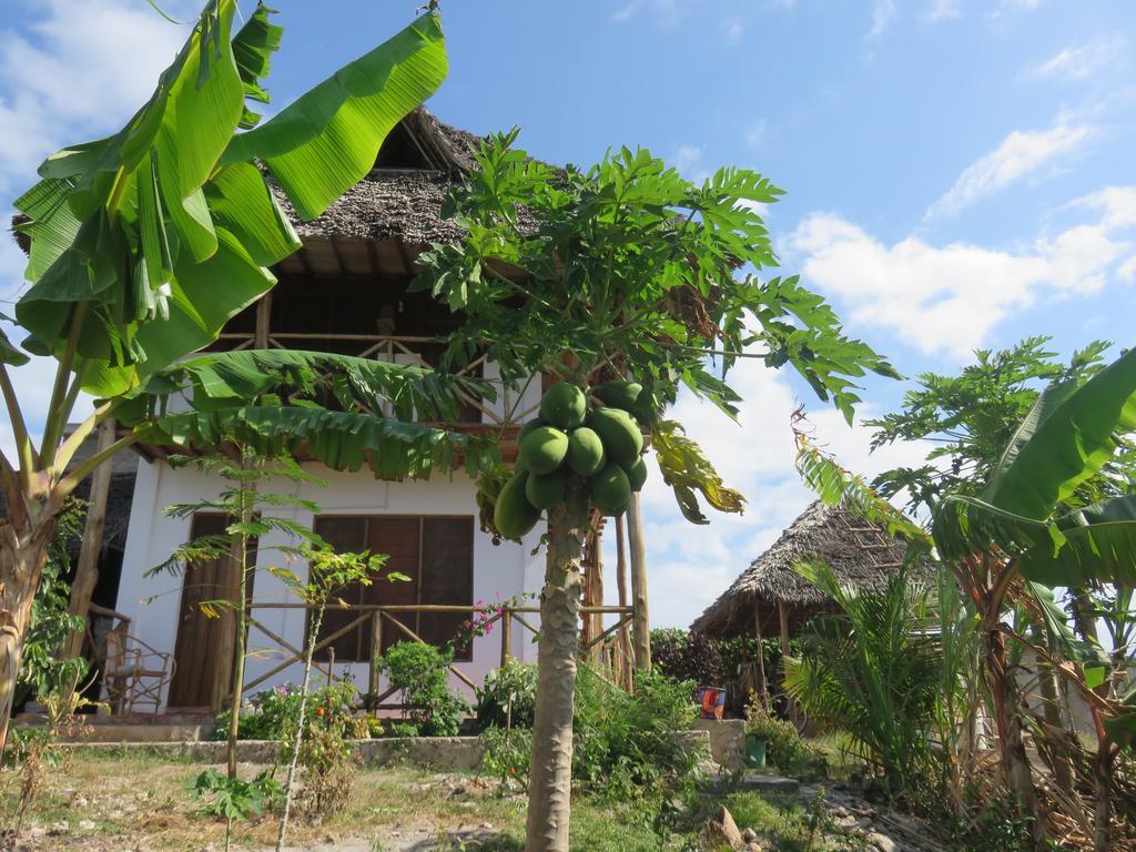 Kilimani House Bed and Breakfast Nungwi Exteriör bild